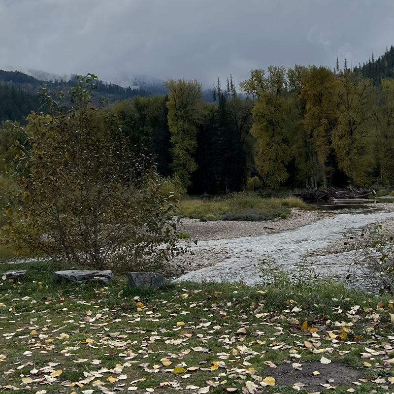 Hook's Landing campground 4